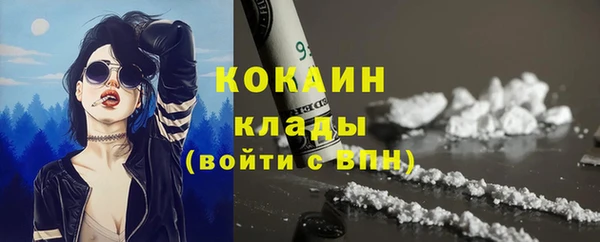 мет Арсеньев