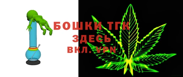 прущие грибы Кодинск