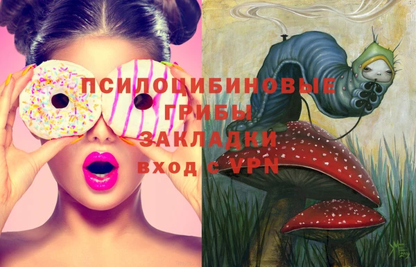 круглые Аркадак
