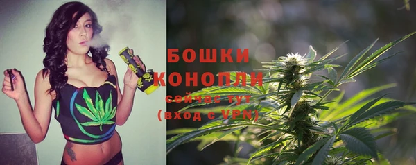 круглые Аркадак