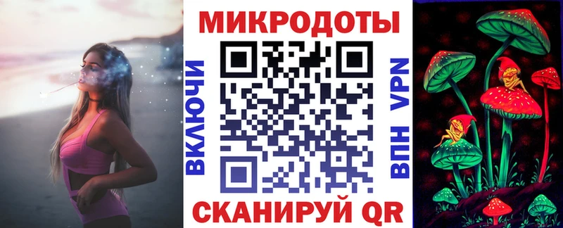 Псилоцибиновые грибы Psilocybe  Пущино 